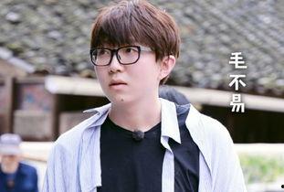娱乐吃瓜喵毛不易刘宇宁,毛不易与刘宇宁的跨界火花