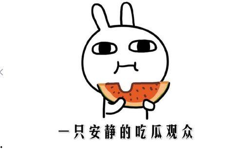 吃瓜群众另一种说法,揭秘“吃瓜群众”背后的真实故事