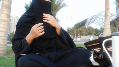 娱乐吃瓜君网红,揭秘网红背后的故事与真相