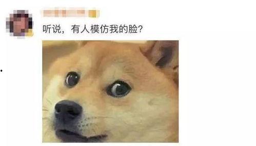 微信吃瓜小表情突然没有了,网友热议原因揭秘