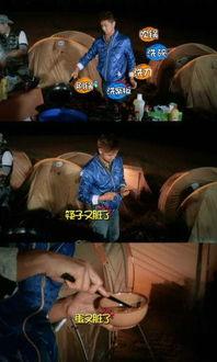 娱乐圈吃瓜大典